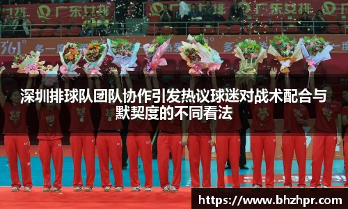 深圳排球队团队协作引发热议球迷对战术配合与默契度的不同看法